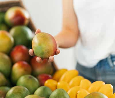 como elegir un mango